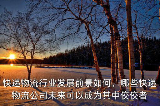 未來快遞需要什么,中國快遞行業未來何在