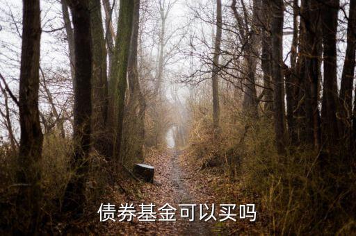 現在買債券基金怎么樣,債券基金可以買嗎
