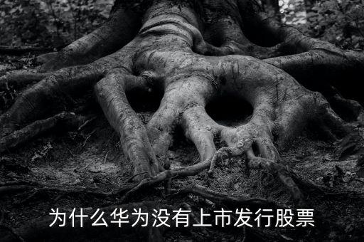 為什么華為沒有上市發行股票