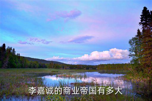 李嘉誠有多少比特幣,李嘉誠的商業帝國有多大