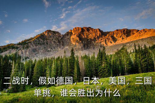 為什么德國落后于日本,二戰德國比日本強大的多