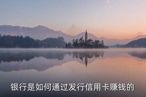 銀行發行信用卡靠什么賺錢,各種辦信用卡的人員