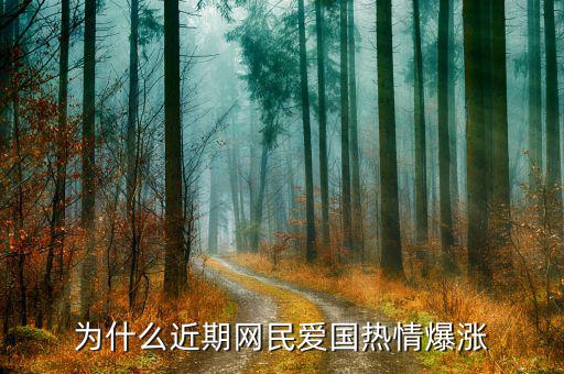 網民為什么增加,為什么近期網民愛國熱情爆漲
