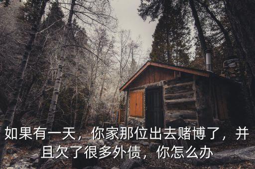 如果有一天，你家那位出去賭博了，并且欠了很多外債，你怎么辦