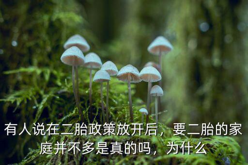 有人說在二胎政策放開后，要二胎的家庭并不多是真的嗎，為什么