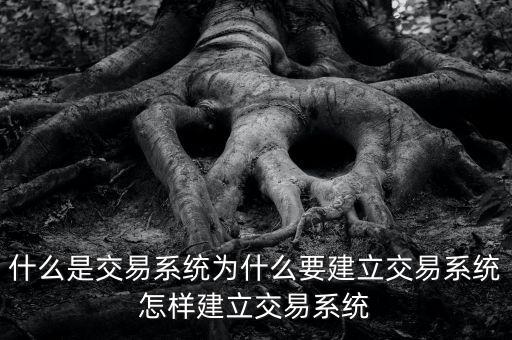 九鼎交易系統是什么,交易系統成熟的標準是什么