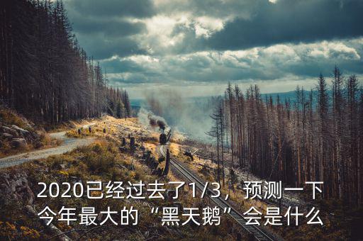 2020已經過去了1/3，預測一下今年最大的“黑天鵝”會是什么