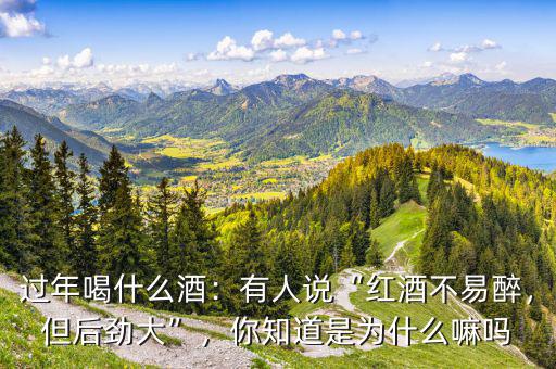 過年喝什么酒：有人說“紅酒不易醉，但后勁大”，你知道是為什么嘛嗎