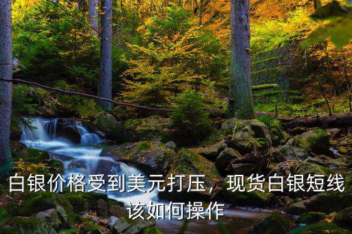 白銀價格受到美元打壓，現貨白銀短線該如何操作