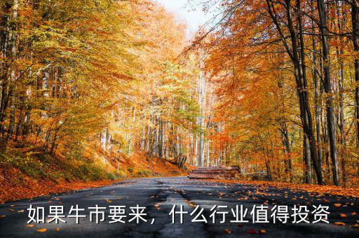 如果牛市要來，什么行業值得投資