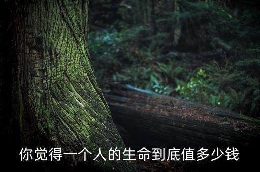 你覺(jué)得一個(gè)人的生命到底值多少錢