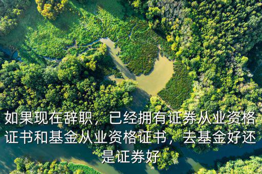 如果現在辭職，已經擁有證券從業資格證書和基金從業資格證書，去基金好還是證券好