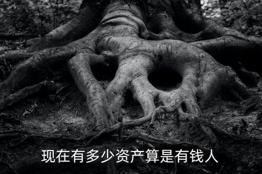 現在有多少資產算是有錢人