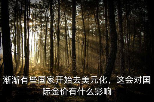 漸漸有些國家開始去美元化，這會(huì)對(duì)國際金價(jià)有什么影響