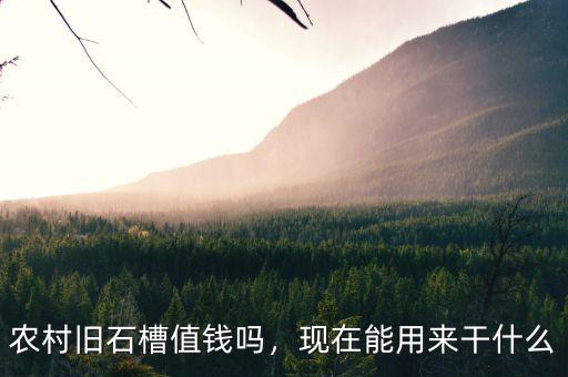 馬蔚華現在干什么,現在農業干什么掙錢