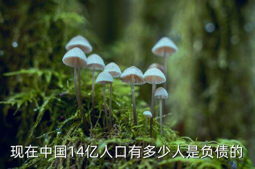 現在中國14億人口有多少人是負債的
