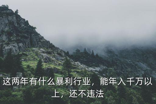這兩年有什么暴利行業，能年入千萬以上，還不違法