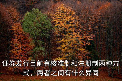 股票發行注冊制是什么,什么是注冊制