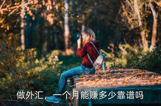 做外匯，一個月能賺多少靠譜嗎