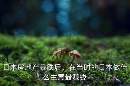 日本房地產暴跌后，在當時的日本做什么生意最賺錢