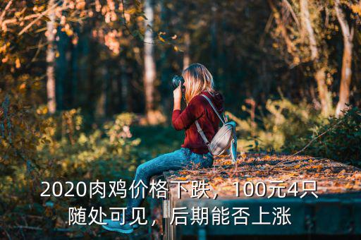 2020肉雞價(jià)格下跌，100元4只隨處可見，后期能否上漲