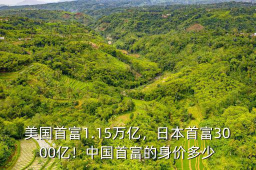 美國首富1.15萬億，日本首富3000億！中國首富的身價多少