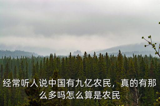 中國有多少流動農民工,中國會長久存在農民工嗎