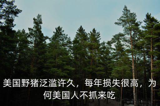 美國野豬泛濫許久，每年損失很高，為何美國人不抓來吃