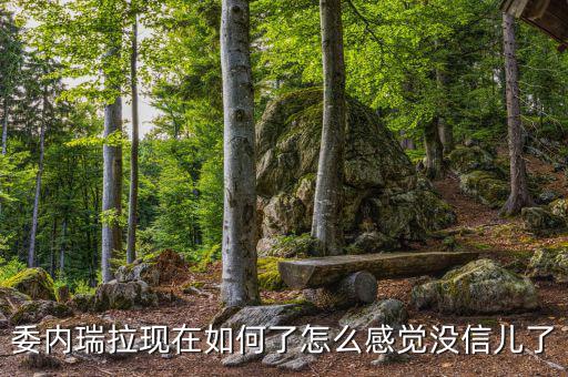 委內瑞拉怎么了,委內瑞拉現在如何了