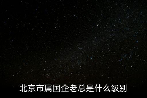 央企高管什么級別,副部級企業的總經理什么級別