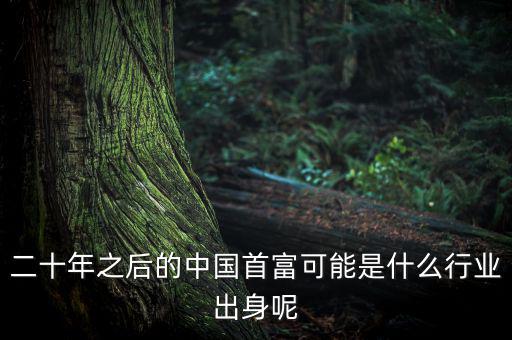 首富網是什么,是個人名還是別的什么