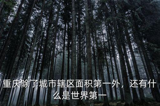 重慶除了城市轄區面積第一外，還有什么是世界第一