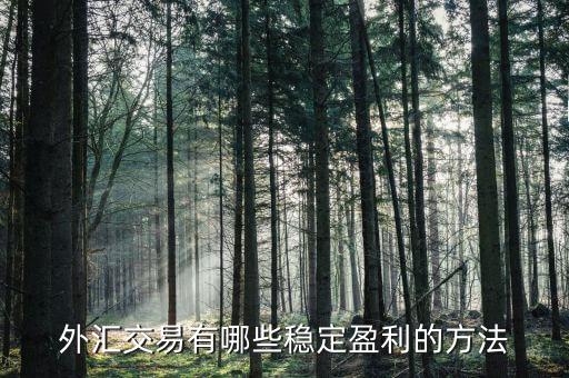 外匯怎么盈利,外匯市場穩定盈利