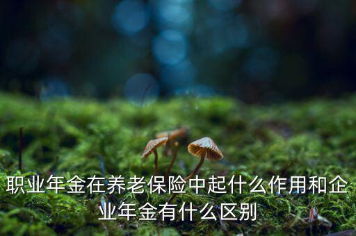 職業年金與企業年金有什么區別,對于職業年金和企業年金