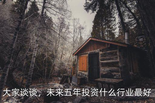 大家談談，未來五年投資什么行業最好