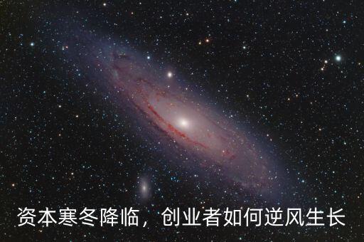 資本寒冬降臨，創業者如何逆風生長