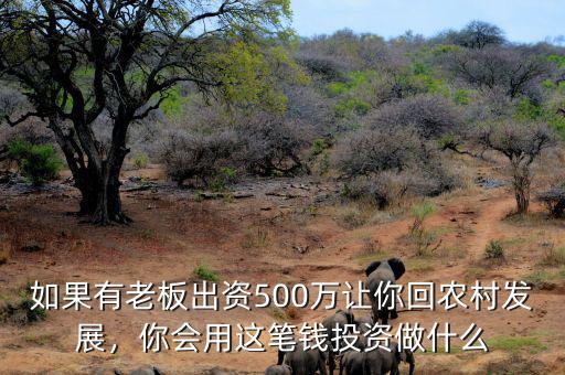 500萬投資什么實業,手上500萬閑錢