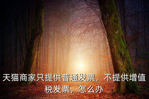 天貓商家只提供普通發票，不提供增值稅發票，怎么辦