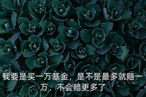 我要是買一萬基金，是不是最多就賠一萬，不會賠更多了