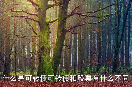股票轉債什么意思,什么時候轉為股票