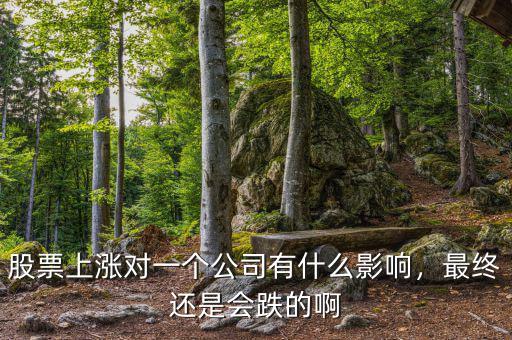 股票上漲對公司有什么好處,股價漲了對企業有什么好處