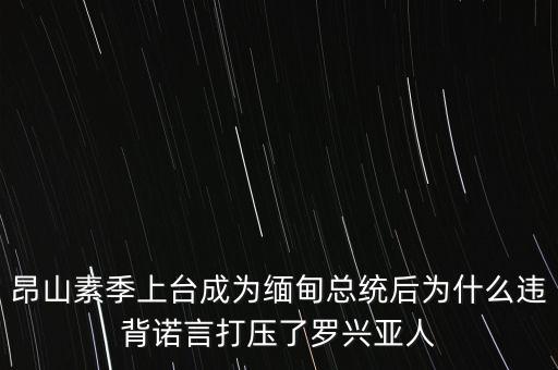 昂山素季為什么不能當總統,奧巴馬為什么不能再當總統
