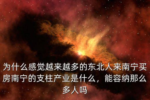 北海的支柱產業是什么,廣西北部灣的支柱產業是什么