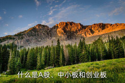 什么是A股、中小板和創業板