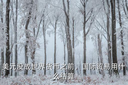 美元沒成世界貨幣之前，國際貿易用什么結算