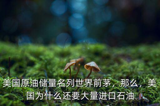 美國原油儲量名列世界前茅，那么，美國為什么還要大量進口石油