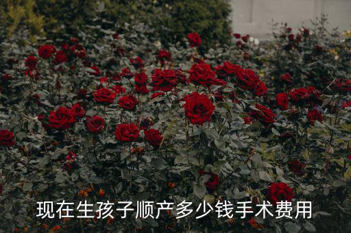 現在生孩子順產多少錢手術費用