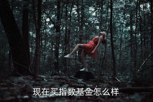 現在買指數基金怎么樣