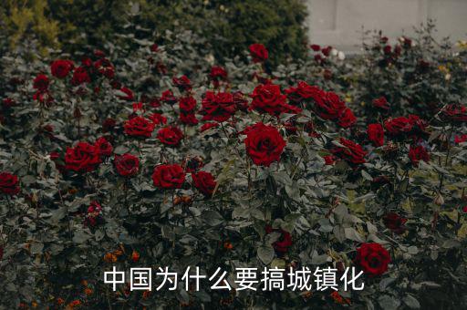 國家為什么要城鎮化,國家為何一直在提倡城鎮化
