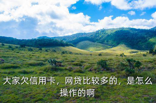 大家欠信用卡，網(wǎng)貸比較多的，是怎么操作的啊